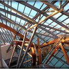 FONDATION - LOUIS VUITTON - 36 -