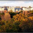 FONDATION - LOUIS VUITTON - 37