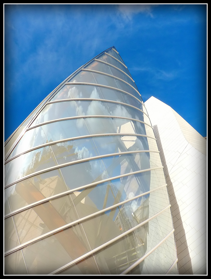 FONDATION - LOUIS VUITTON -5 -