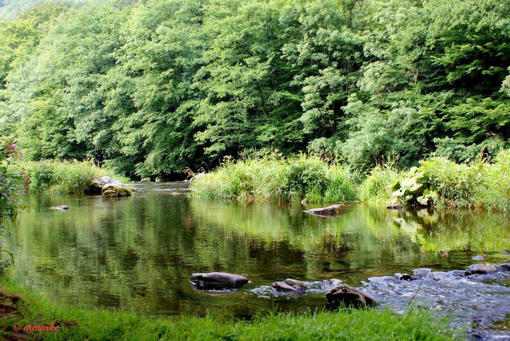 Fonds de Quarreux ( Belgique).