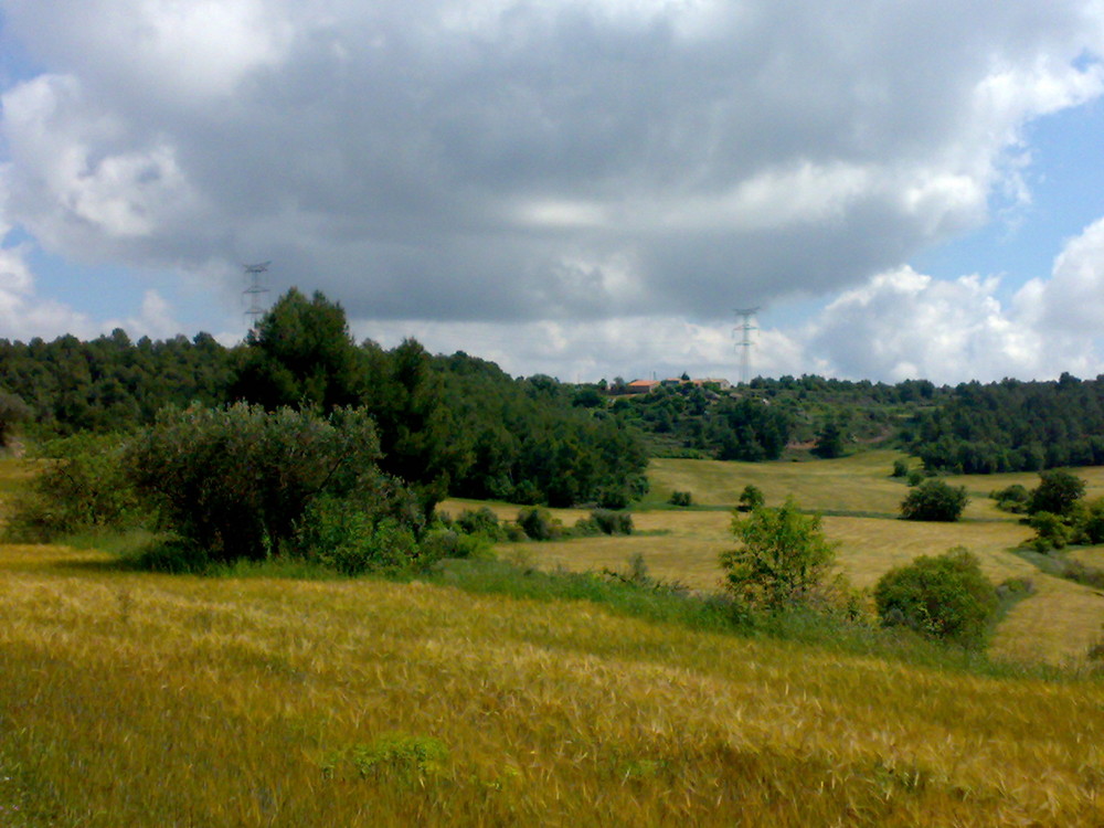 Fonollosa,Bages