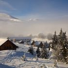 Font d'Urle  ( Vercors )