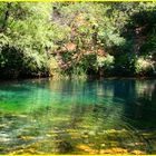 font vive(Ardèche)