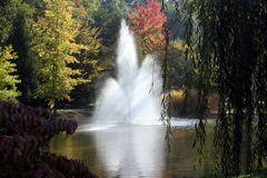 Fontäne im Kurpark zu Bad Bellingen