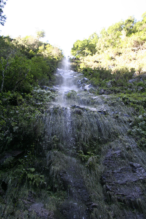 Fontain of Light