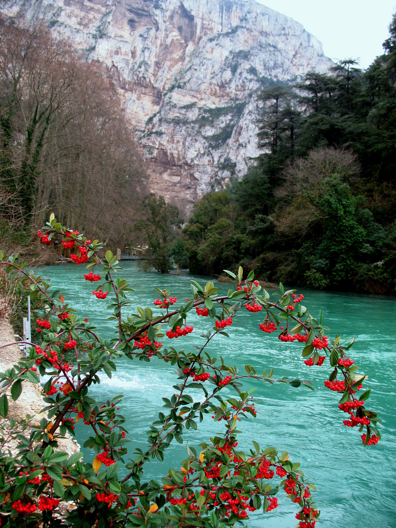 FONTAINE