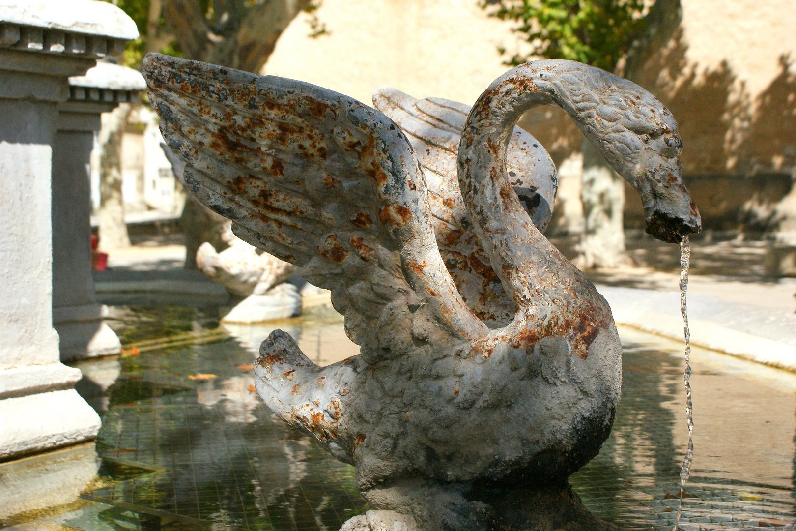 Fontaine à cygne