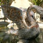 Fontaine à cygne