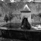 Fontaine à St Jean de Buèges