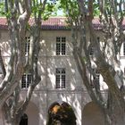 Fontaine avec Concrétion de calcaire moussue et jeu d'ombre de platanes