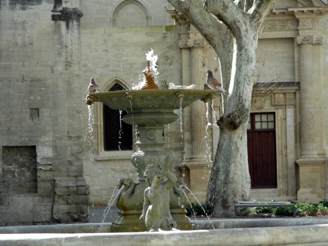 fontaine d'avignon