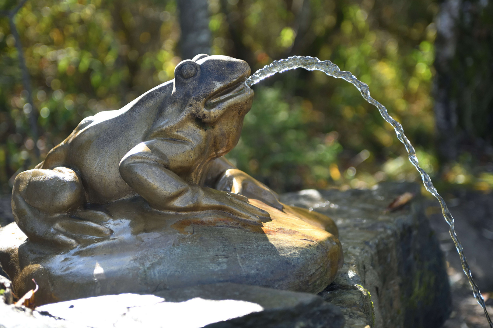 Fontaine de la grenouille ...