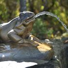 Fontaine de la grenouille ...