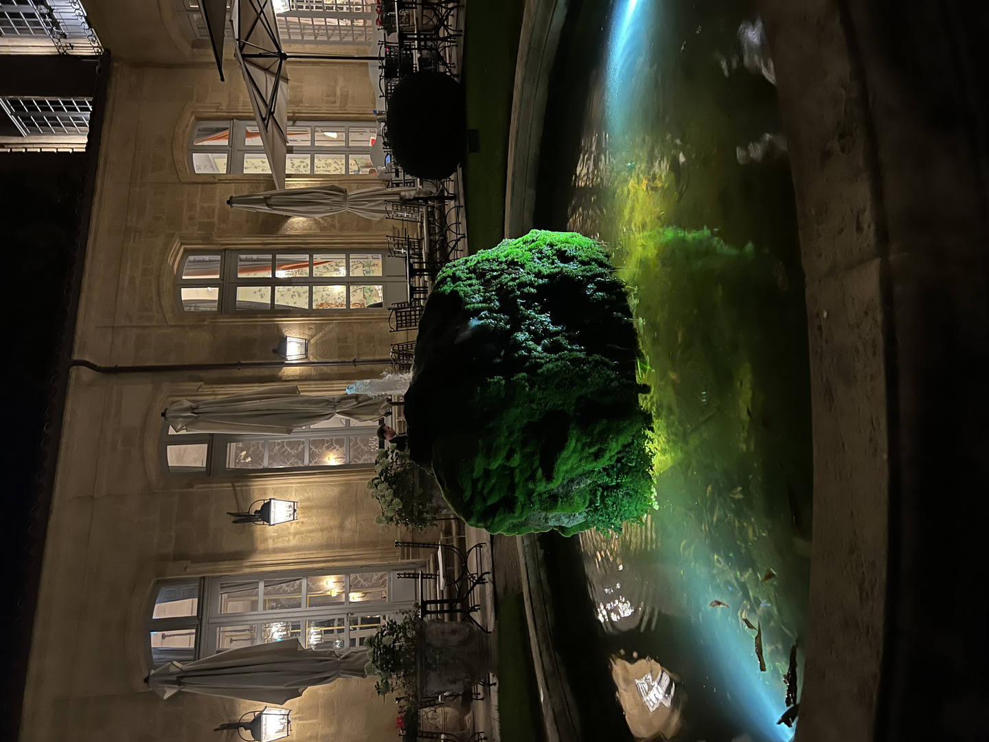 Fontaine de l’Hotel de Caumont