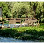 : Fontaine de Vaucluse ~ grün I