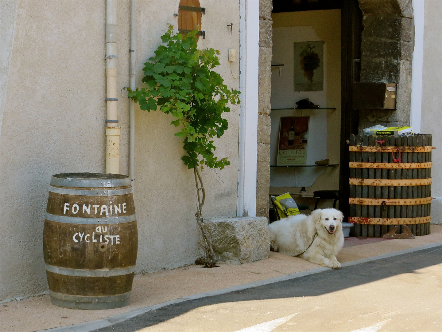 ... Fontaine du cycliste !!!...