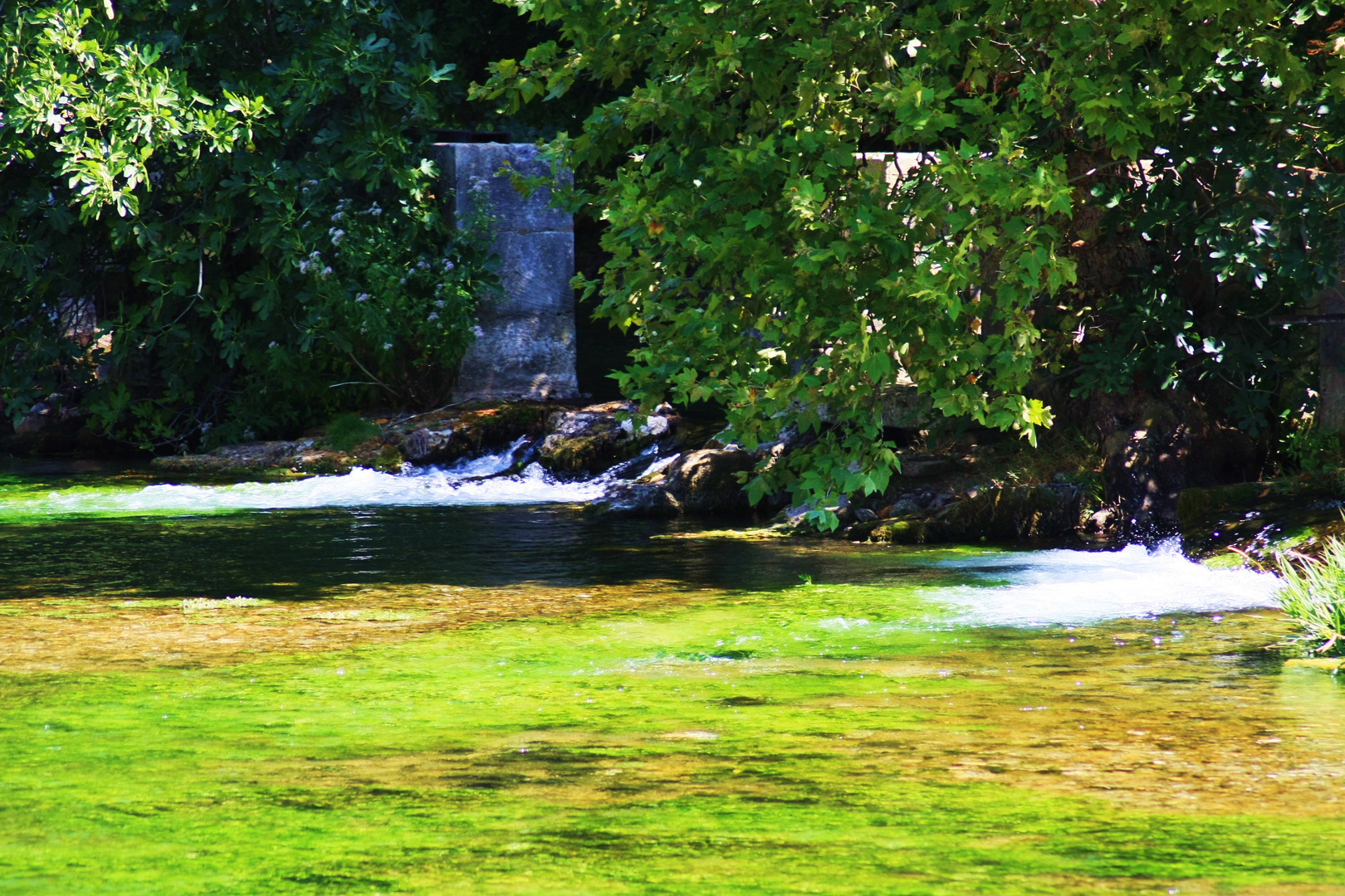 fontaine du vaucluse 2