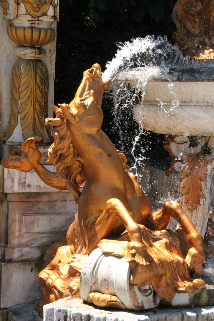 fontaine équine