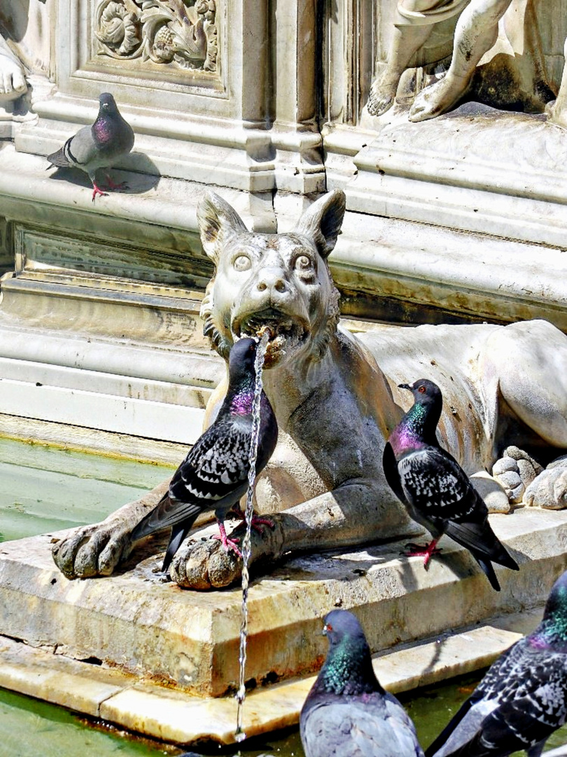 fontaine Gaia