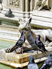 fontaine Gaia