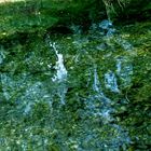 Fontaine im Bach