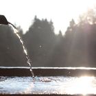 Fontaine matinale