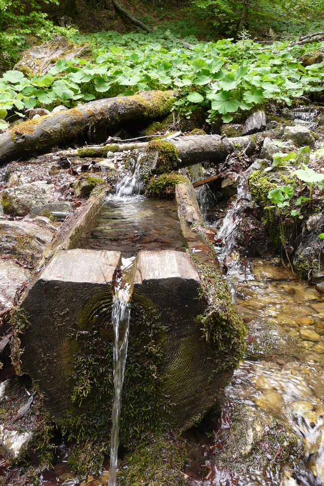 Fontaine mrès du Mont Aiguille