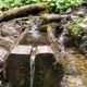 Fontaine mrs du Mont Aiguille