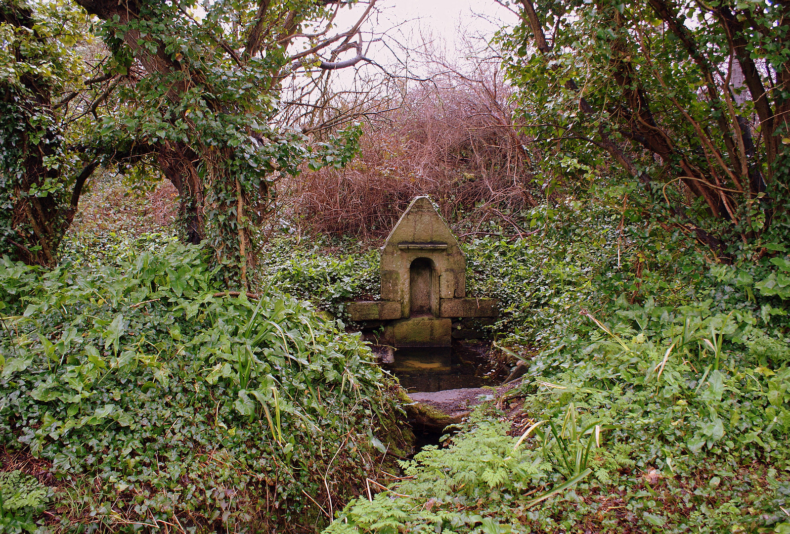 fontaine oublier