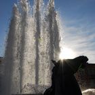 Fontaine Place Massena