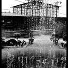 Fontaine verticale