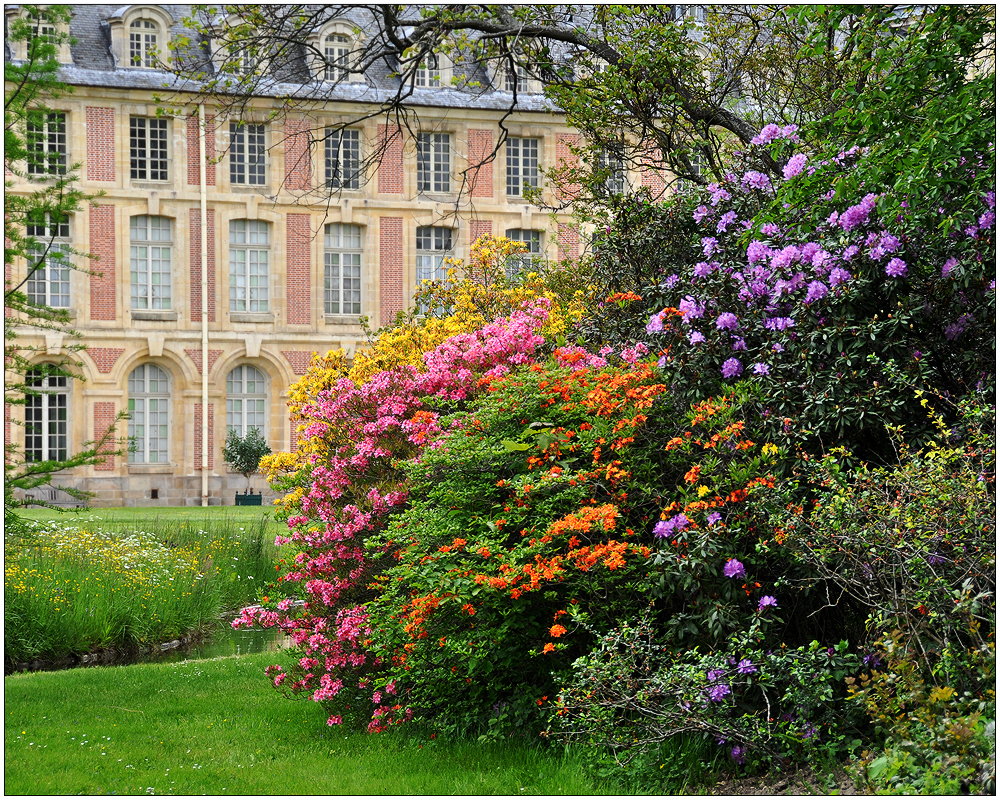 Fontainebleau – der Park IV