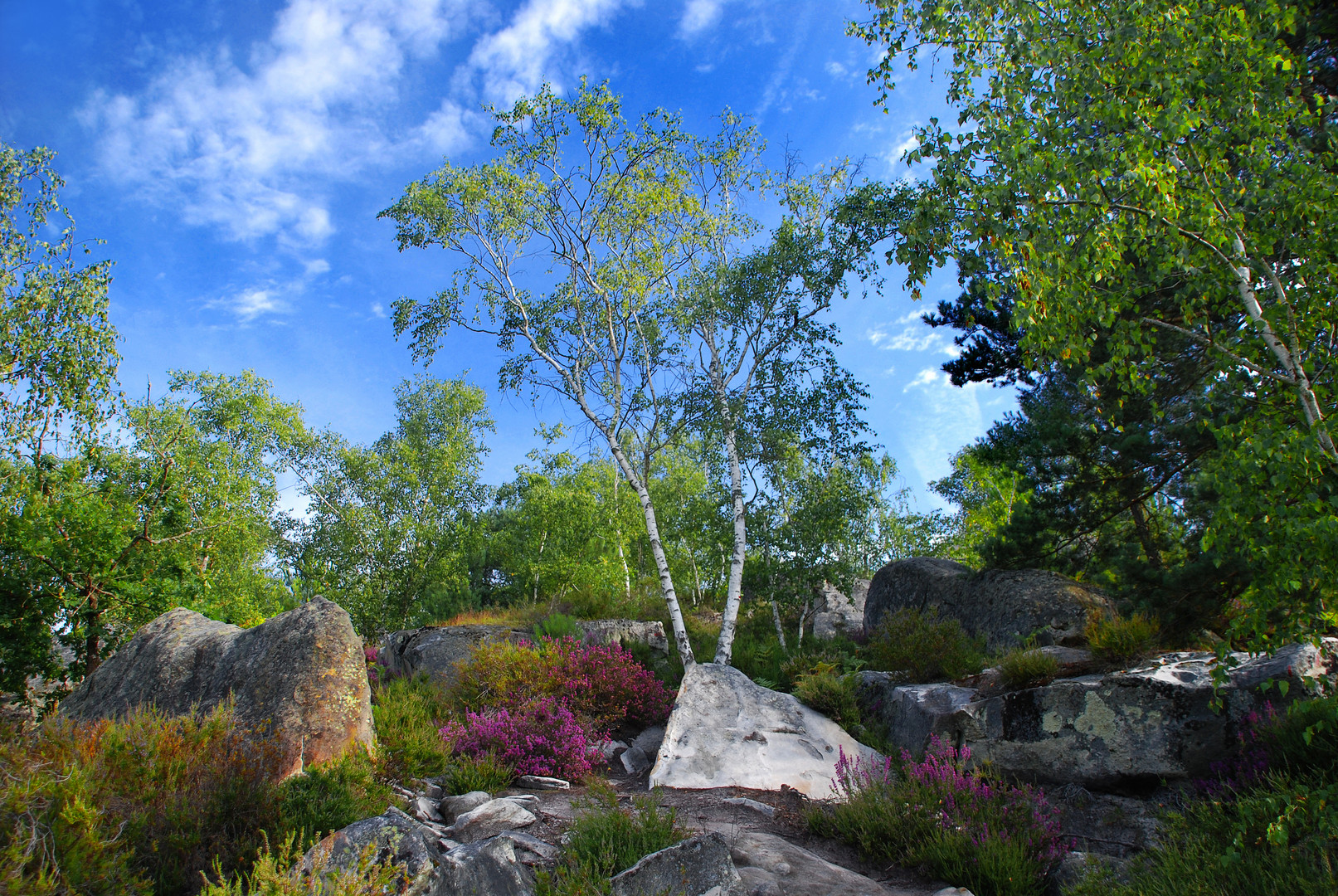 FONTAINEBLEAU, LA BELLE