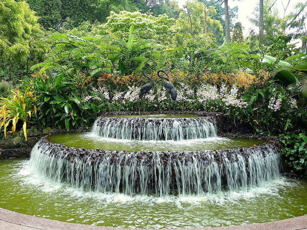 Fontaines du Jardin d'Orchidées de Singapour