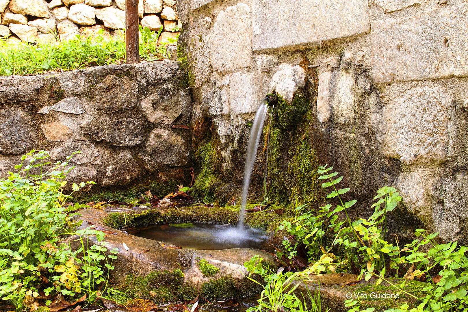 fontana bosco Muro Lucano