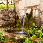 fontana bosco Muro Lucano