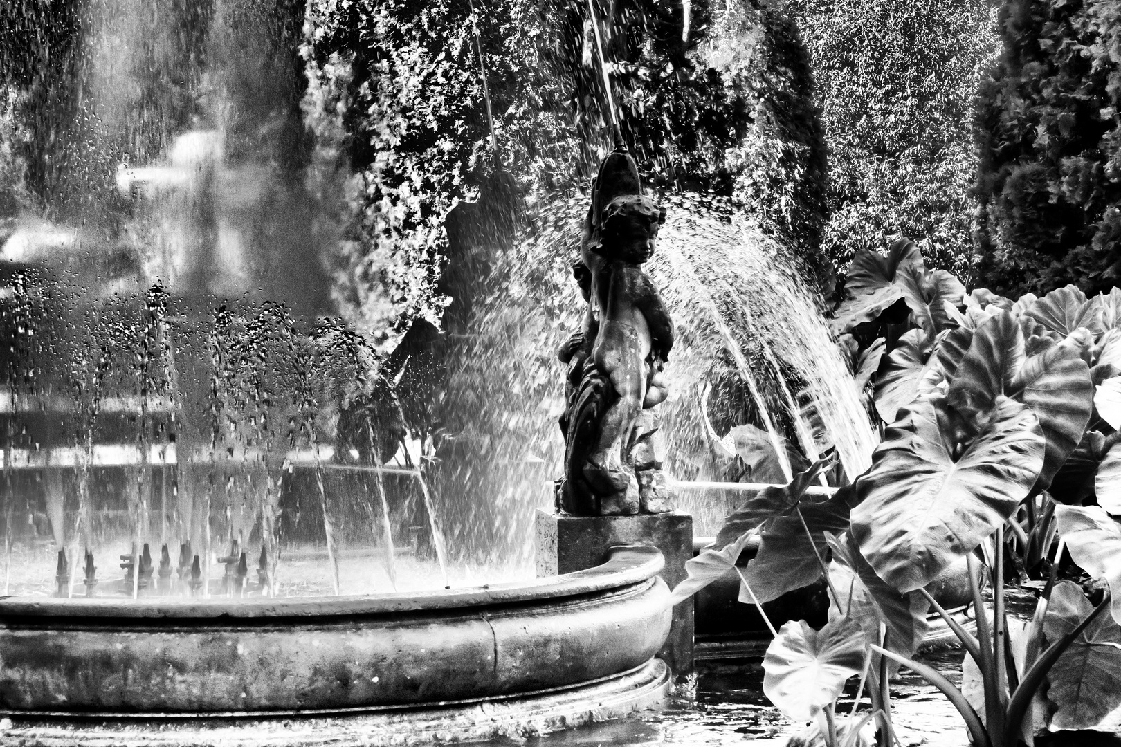 Fontana dei putti