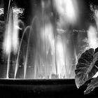 Fontana dei putti