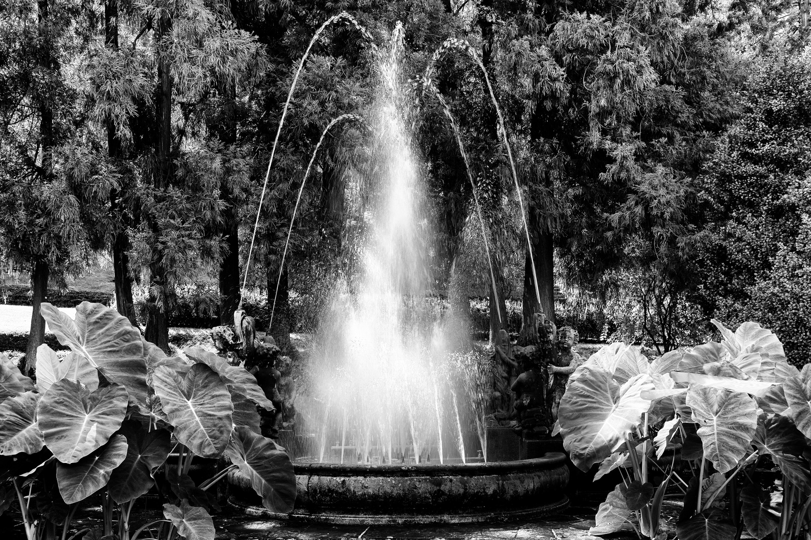 Fontana dei putti, Villa Taranto