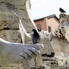 Fontana dei quattro fiumi