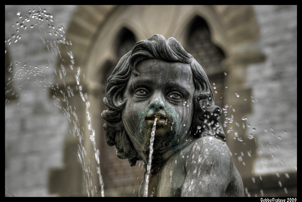 Fontana del Bacchino - Particolare