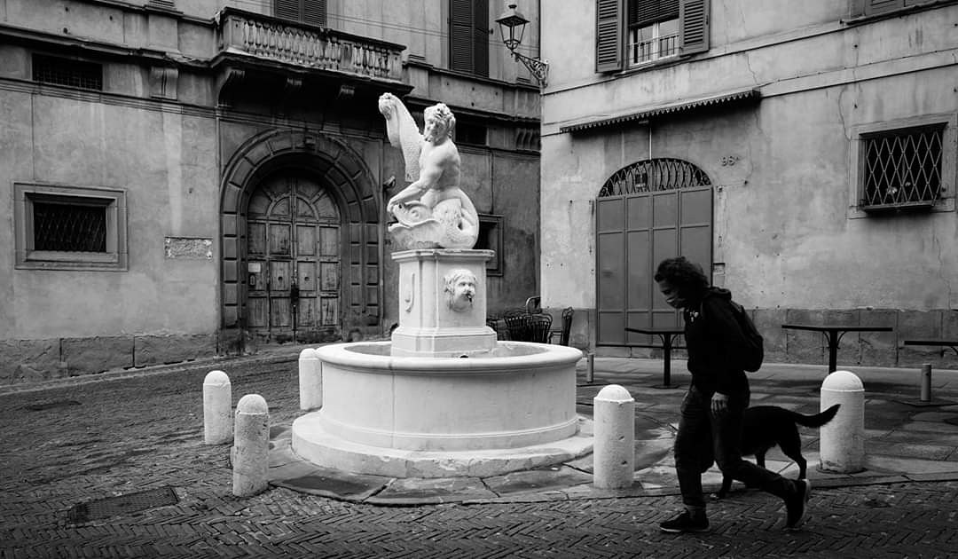 Fontana del Delfino 