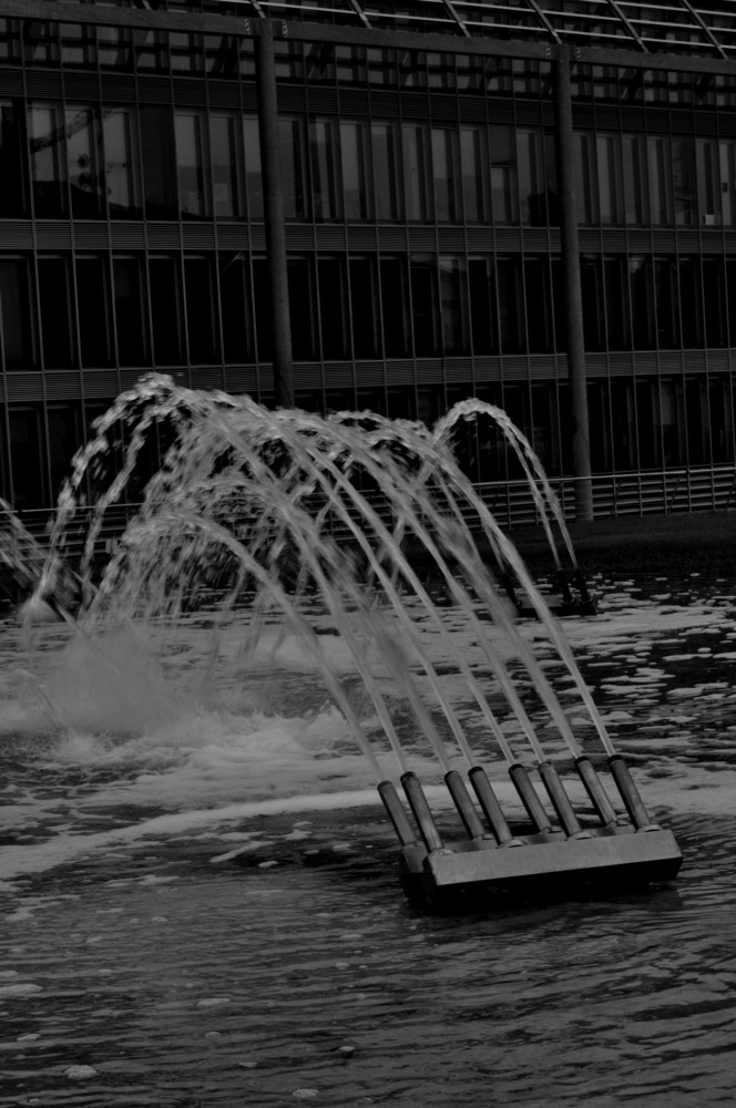 fontana del duc con schiuma