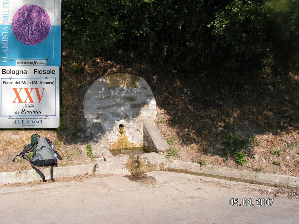 fontana del mulo