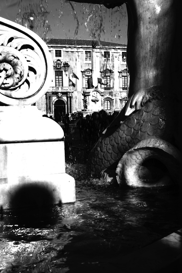 Fontana dell' Amenano - catania