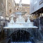 Fontana dell'Amenano, Catane 2