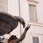 Fontana delle Tartarughe Particolare