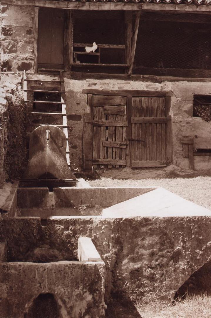 fontana di contrada