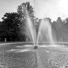 Fontana di Flora