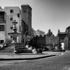 Fontana di piazza della Rocca, Viterbo